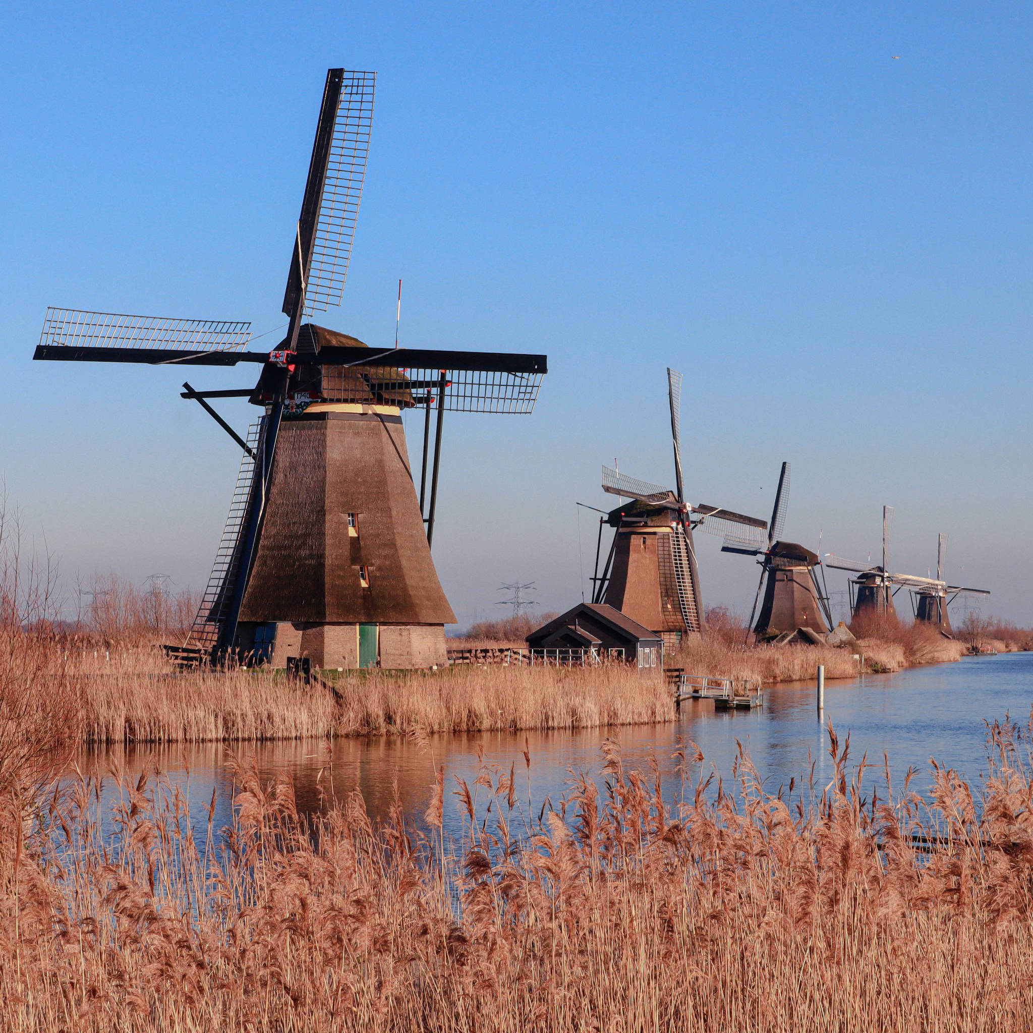Image of a Polder in Kinderdijk, Netherlands